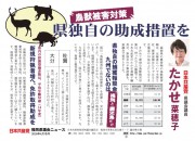 thumbnail of 高瀬菜穂子鳥獣竹林ビラ